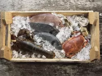 Пазл Дары моря