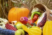 Пазл Дары осени