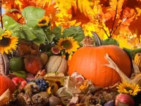 Пазл Дары природы