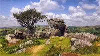 Пазл Dartmoor