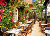 Пазл Дэллоуэй Террас