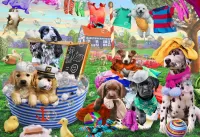 Пазл День стирки