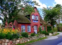 Пазл Деревенская улица 