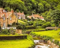 Пазл Деревня в лесу