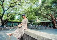 Пазл Девушка и деревья