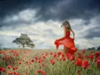 Пазл Девушка в маках