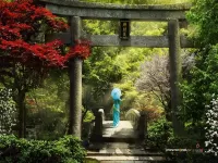 Пазл Девушка в саду