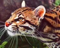 Пазл Дикая кошка 