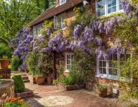 Пазл Dipley Mill 