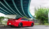 Пазл Dodge
