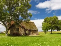 Пазл Дом на лугу