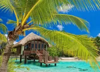 Пазл Дом на воде