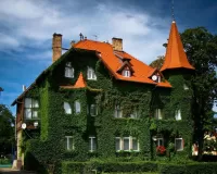 Пазл Дом с башенкой