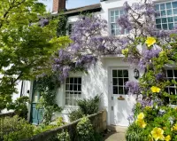 Пазл Дом с глицинией