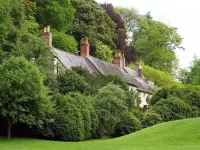 Пазл Дом в лесу