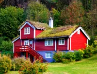 Пазл Дом в лесу