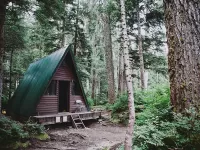 Пазл Дом в лесу