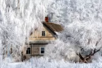 Пазл Дом в снегах