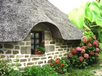 Пазл Домик гнома