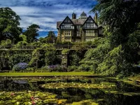 Пазл Домик у пруда 