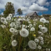 Пазл Домик в деревне