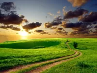 Пазл Дорога