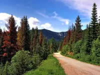 Пазл Дорога