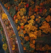 Пазл Дорога