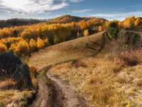 Пазл Дорога через осень