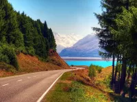 Пазл Дорога к озеру