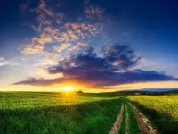 Пазл Дорога к солнцу 