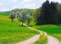 Пазл Дорога в лето 