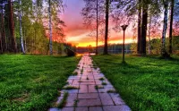 Пазл Дорога в закат