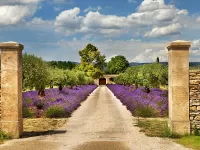 Пазл Дорожка