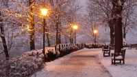 Пазл Дорожка для прогулок