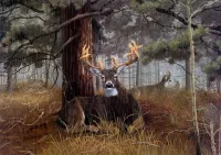 Пазл Дождь в лесу