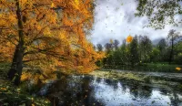 Пазл Дождливая осень