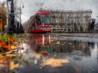 Пазл Дождливый день