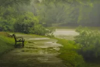 Пазл Дождливый парк