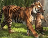 Пазл Драгоценная ноша