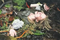 Пазл Dreams of Ophelia 3