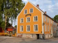 Пазл Dunkejongarden