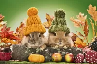 Пазл Осенние кролики 