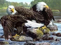 Пазл Два орла