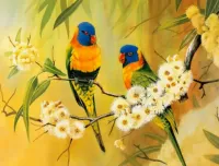 Пазл Два попугая