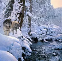 Пазл Два волка