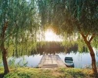 Пазл Две ивы