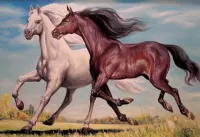 Пазл Две лошади