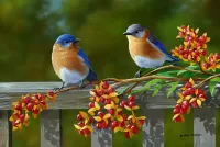 Пазл Две птицы