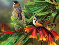 Пазл Две птицы 